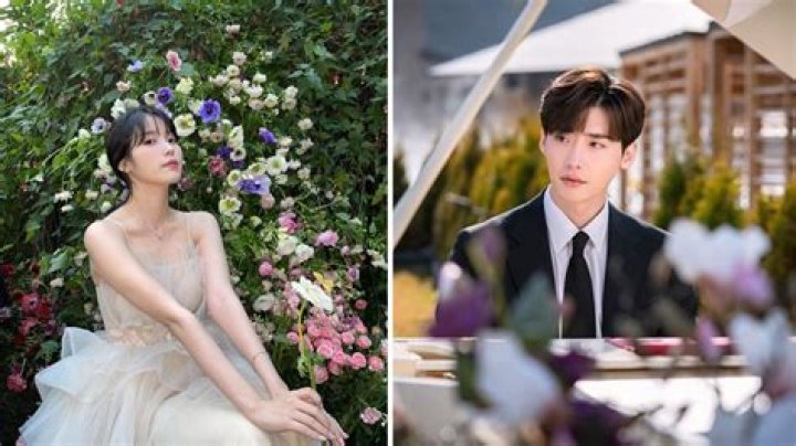 Exploring the Enigmatic Union: IU and Lee Jong Suk's Marriage