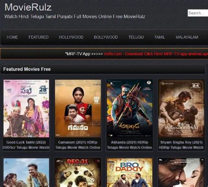 MovieRulz Zebra: The Ultimate Guide to Streaming Movies Safely and Legally